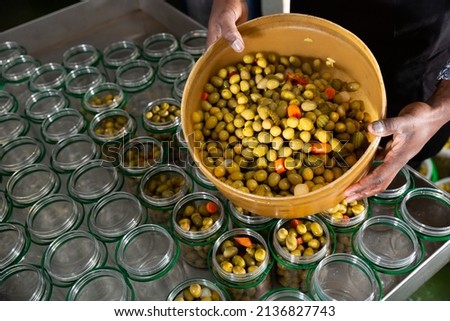 Preparing for pickling olives at food factory. High quality photo