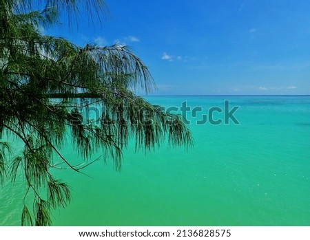 Tropical beach scene, sand, beach, sea, ocean, 