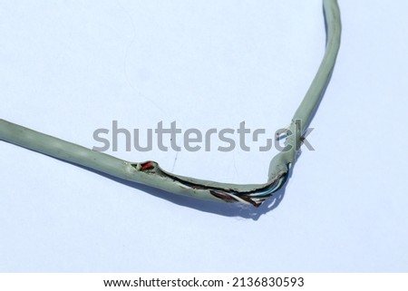 Damaged UTP ethernet lan cables due to mouse bites, damaged UTP ethernet lan cables. Data cables , Network connections, Networking equipment 
					 Royalty-Free Stock Photo #2136830593