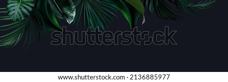 Tropical elegant background arranged from exotic emerald leaves. Design vector. Paradise plants, greenery chic card. Stylish fashion banner. Wedding template. Leaves are not cut. Isolated and editable Royalty-Free Stock Photo #2136885977