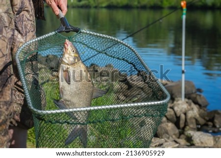 Caught fish on fishing line in hand fisherman over at landing net against natural background with outdoor water. Concepts fortune, success, active rest, hobbies