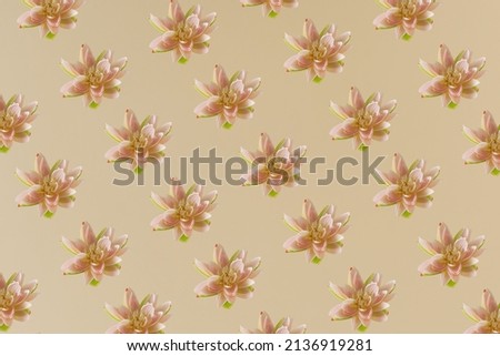 Gentle pink lotus flower pattern on bright beige background. Minimal layout. Spring, nature and beauty concept. Purity, enlightenment, self-regeneration and rebirth concept. Royalty-Free Stock Photo #2136919281