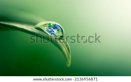 Water gives life. Closeup shot of a water droplet on a leaf. Royalty-Free Stock Photo #2136956871