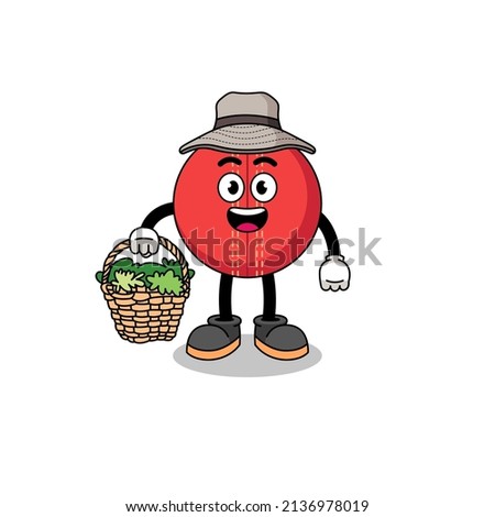 Character Illustration of cricket ball as a herbalist , character design