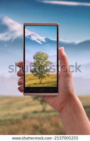 Tree on a meadow in carpathian mountain valley on a screen of smartphone in girl hands. Travel and adventure concept.