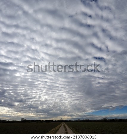 Meteorological observations of Altocumulus stratiformis cirrocumulus undulatus clouds over a landscape. Panorama Background Royalty-Free Stock Photo #2137006015