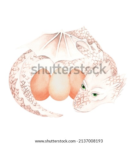 The dragon guards its eggs. Watercolor illustration.Isolated on a white background.For design
