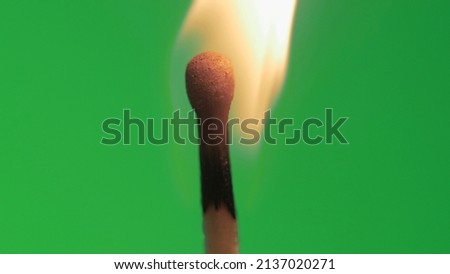 Close up of a standard lit match with a green screen background. Looks like it is dying out, but regains life and burns more intense before dying out.