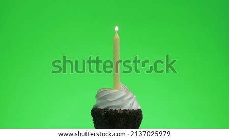 I light a candle on a delicious cupcake. Green screen