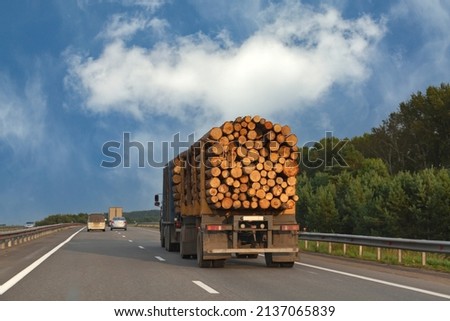 A timber truck transports logs along a suburban highway. Rear view against the blue sky. Transportation and export of wood. Royalty-Free Stock Photo #2137065839