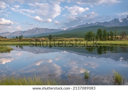 Amazing summer landscape with beautiful clouds in the blue sky, mountains covered with snow and forest, larch trees, a lake and reflections in the water. Altai, Russia