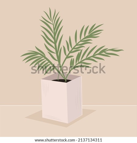 Palm leaves in a square stylish pot. A plant for decorating the interior of a home or office. Vector flat illustration