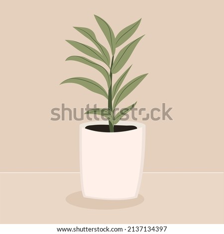 Home plant Dracaena. Modern elegant home decor. Vector illustration isolated on beige background