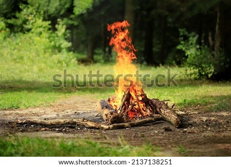 A beautiful campfire in the forest during the day. A high fire burns in a campsite by the river in beautiful nature. Royalty-Free Stock Photo #2137138251