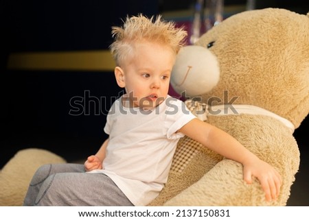 portrait of a stylish blond boy on a teddy bear.
