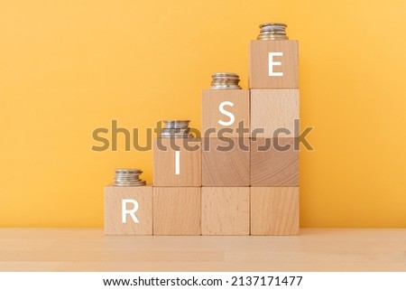 Wooden blocks with "RISE" text of concept and coins.