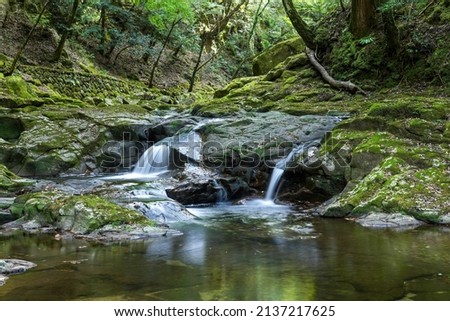 Collaboration scene of two waterfalls surrounded by mossy rocks and fallen leaves at Akame 48 Waterfalls, Mie pref.