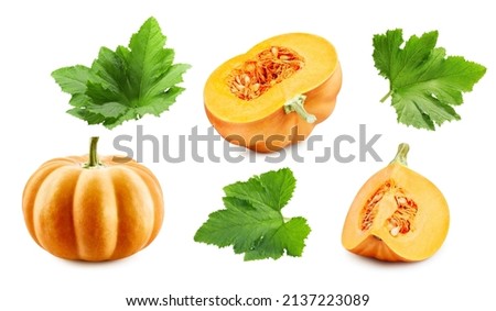 Pumpkin collection isolated on white background. Clipping path pumpkin. Pumpkin macro studio photo.
