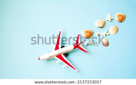 Flat lay, seashells and corals on the back of an airplane model on a blue background.  The concept of vacation, travel, vacation.  Online orders, booking.  Space for copy text.