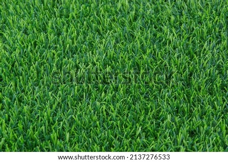 Artificial grass texture with selective focus for background.Abstract background of a modern and blank template for a document or advertizing.