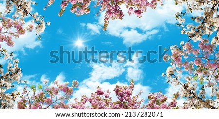 pink white cherry blossoms and cloudy sunny sky. bottom up view sky. photo for stretch ceiling decoration Royalty-Free Stock Photo #2137282071