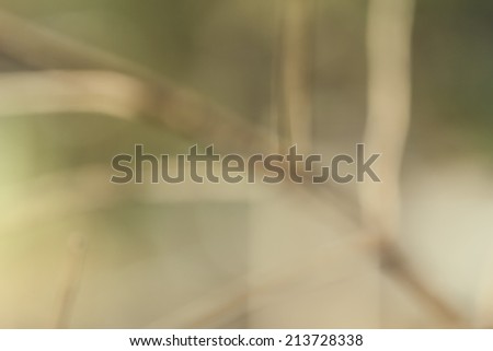 Abstract background of branches