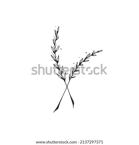 Doodle two branches on a white background 