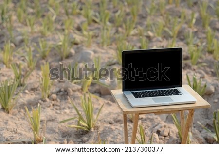 The Laptop Black Screen on a Table in pineapple field, Work From Home Style.