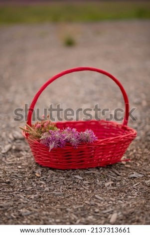 A bouquet of bright wild flowers lies in a red wooden large natural basket at sunset