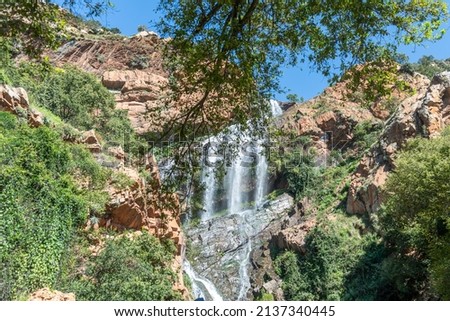 Waterfall at Walter Sissulu Botanical Garden in Johannesburg, South Africa