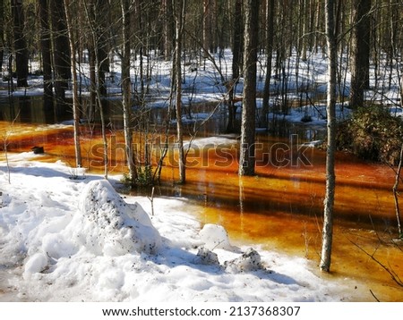 Winter landscape photo of outdoor activities area in Tampere in Finland. Brown water in the swamp and the sun is shining. Beautiful sunny day.