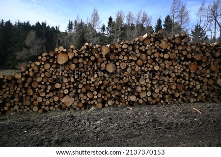Log pile in College Valley, Northumberland, England