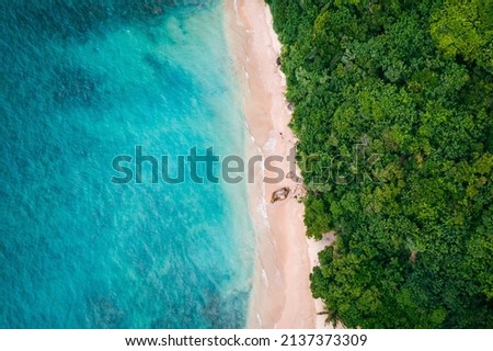 Tropical Jungle Coast in Sri Lanka. Aerial view of Exotic Costline, Beach and Rainforest. Paradise Beach. Royalty-Free Stock Photo #2137373309