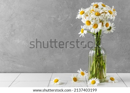 Still life with a beautiful bouquet of white chamomile flowers on gray background. holiday or wedding background Royalty-Free Stock Photo #2137403199