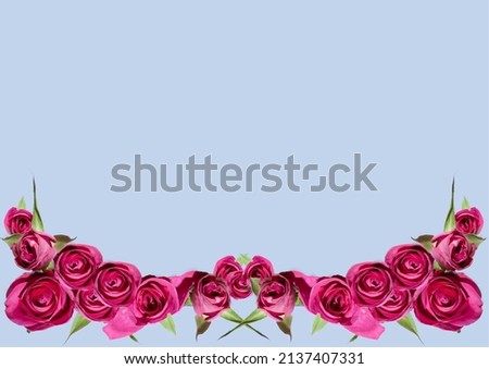 lovely flat lay pink rose 'frame' on a blue background. Ready for your picture and or text. For any occasion especially, women's day, mothers day, valentines day and many more. 