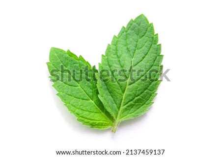Mint leaf isolated on white background , top view , flat lay. Royalty-Free Stock Photo #2137459137