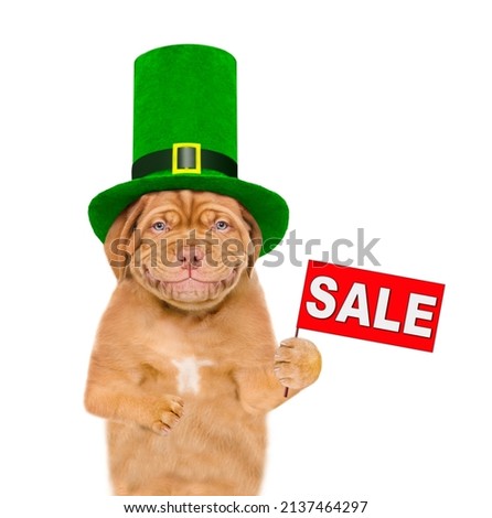 St Patrick's Day concept. Smiling puppy wearing hat of the leprechaun shows sales symbol. isolated on white background