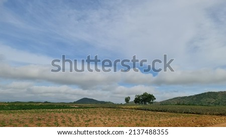 The landscape on the plains of the mountain peaks under the morning sky in the beginning of the dry season with white streaks of feather clouds floating in the bright blue sky. 
