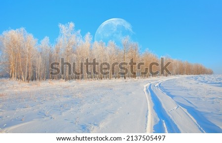 Snow covered fir trees landscape with the forest and a path view with full moon in winter - Siberia, Russia "Elements of this image furnished by NASA "