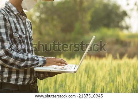 Farmer man with digital tablet working on farm agricultural concept work in the rice fields