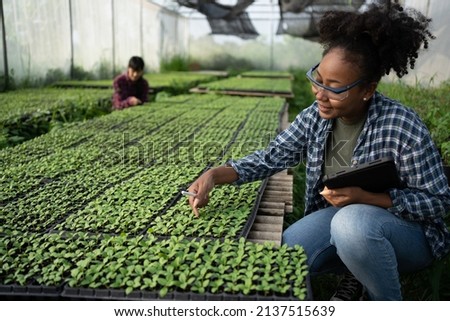 A black female farmer using a tablet smiling friendly at the organic vegetable plots inside the nursery.African woman Taking care of the vegetable plot with happiness in greenhouse using technology. Royalty-Free Stock Photo #2137515639