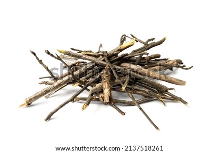 Branches pile isolated. Dry twigs pile ready for campfire, sticks, boughs heap for a fire, dry thin branches, brushwood Royalty-Free Stock Photo #2137518261