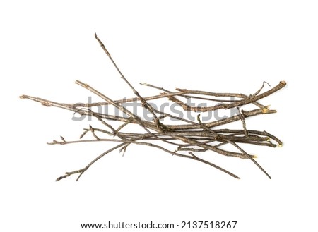 Branches pile isolated. Dry twigs pile ready for campfire, sticks, boughs heap for a fire, dry thin branches, brushwood Royalty-Free Stock Photo #2137518267