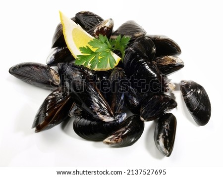 Raw Blue Mussel on white Background - Isolated Royalty-Free Stock Photo #2137527695
