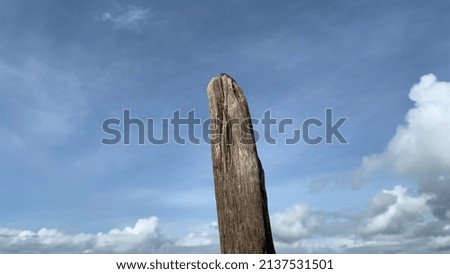Wood against blue sky with clouds at sunny day