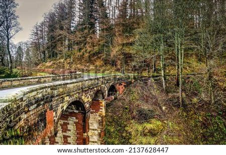 The old bridge in the mountain forests. Bridge in forest. Forest bridge view Royalty-Free Stock Photo #2137628447