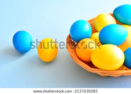 blue and yellow easter eggs in basket on blue background, close-up