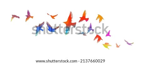 Multi-colored birds. A flock of flying rainbow birds. Vector illustration
