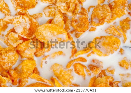 Cereal Flakes with milk background .