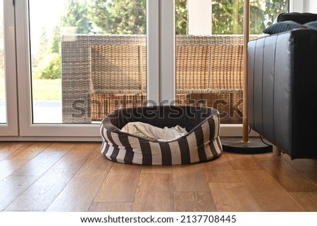 An empty dog cat bed next to window in home interior with copy space